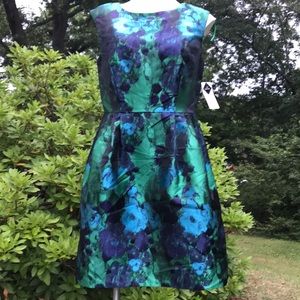 Women’s Dress! NWT!